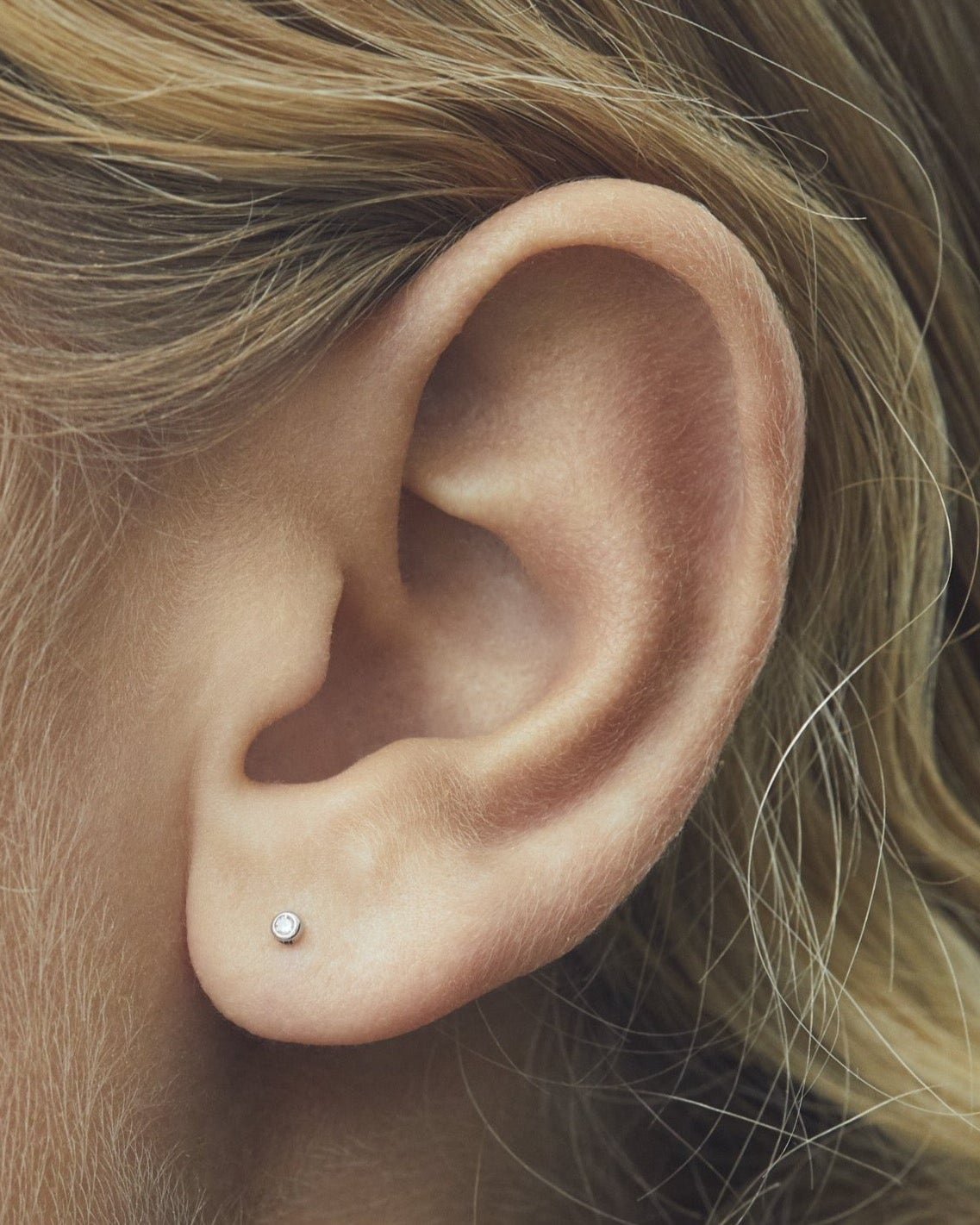 Point labret, detail view.