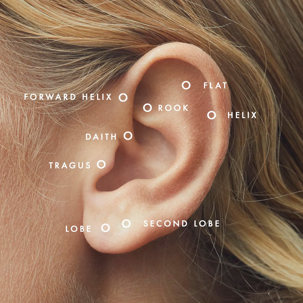Earlobe in 14k gold.